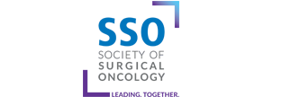 logo-sso SSO